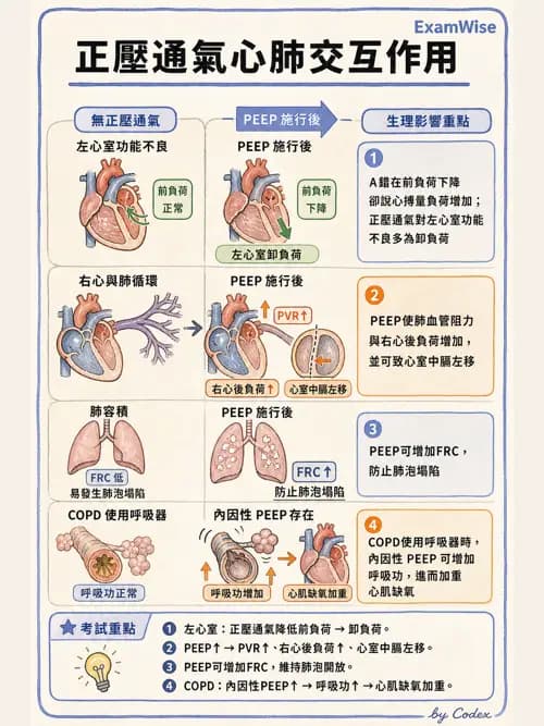 呼吸治療師 - 正壓通氣生理影響與合併症 - AI 圖文解析預覽