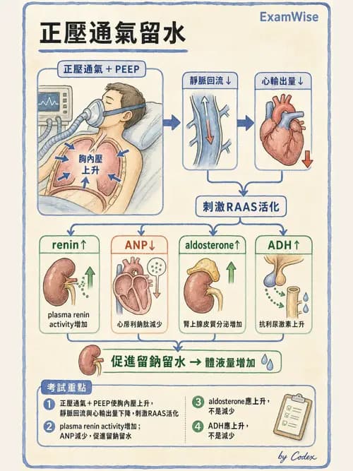 呼吸治療師 - 正壓通氣生理影響與合併症 - AI 圖文解析預覽