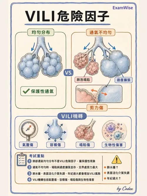 呼吸治療師 - 正壓通氣生理影響與合併症 - AI 圖文解析預覽