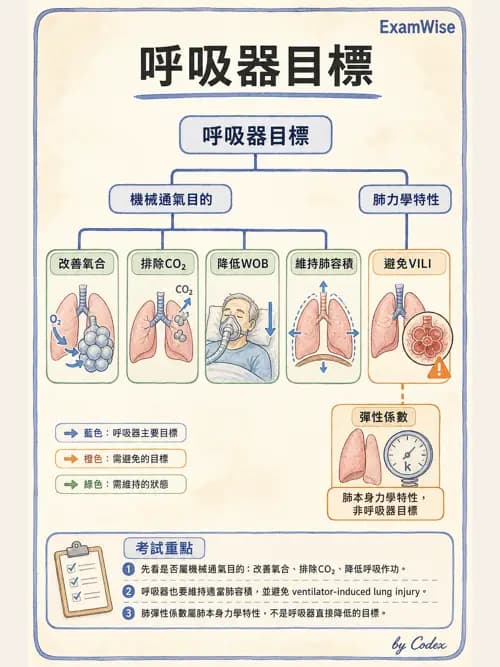呼吸治療師 - 小兒呼吸器支持 - AI 圖文解析預覽