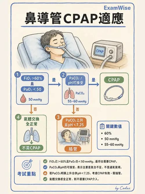 呼吸治療師 - 小兒呼吸器支持 - AI 圖文解析預覽