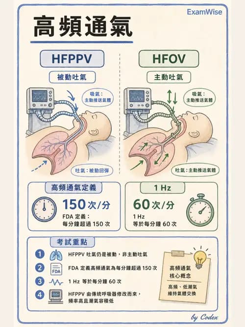 呼吸治療師 - 小兒呼吸器支持 - AI 圖文解析預覽