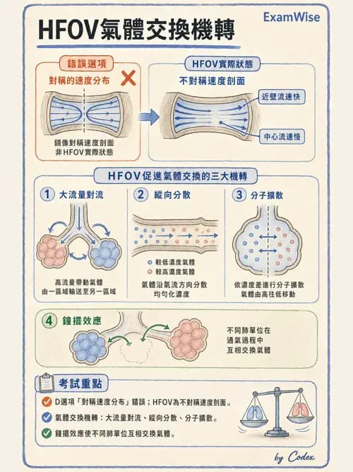 呼吸治療師 - 小兒呼吸器支持 - AI 圖文解析預覽