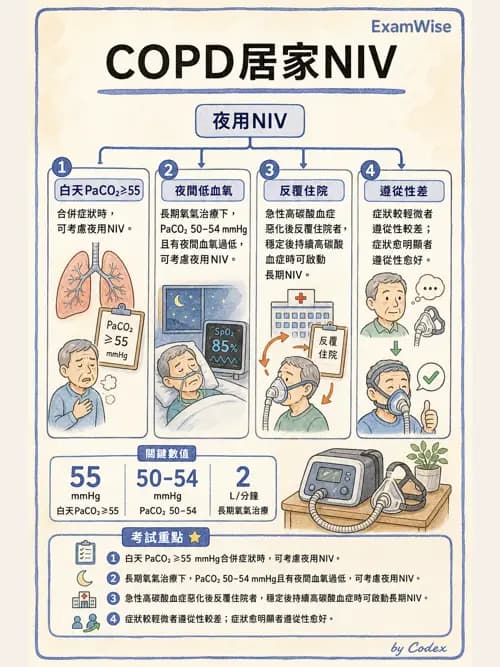 呼吸治療師 - 非侵襲性與居家通氣 - AI 圖文解析預覽