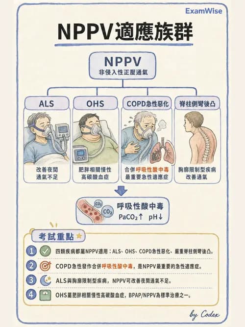 呼吸治療師 - 非侵襲性與居家通氣 - AI 圖文解析預覽