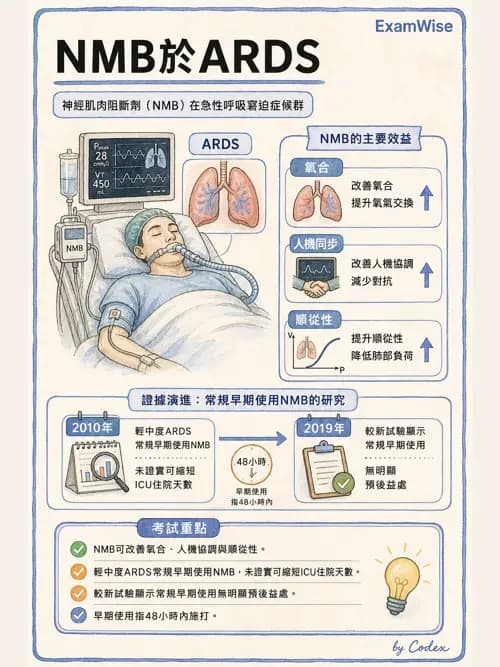 呼吸治療師 - ARDS與呼吸衰竭 - AI 圖文解析預覽