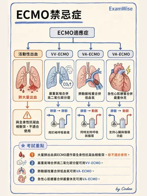 呼吸治療師 - 重症特殊處置 - AI 圖文解析預覽