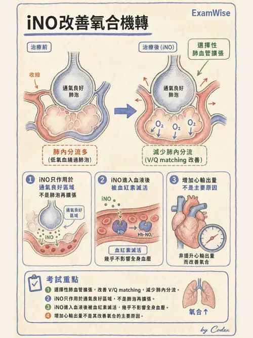 呼吸治療師 - 重症特殊處置 - AI 圖文解析預覽