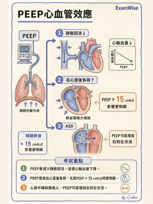 呼吸治療師 - 呼吸器併發症與感染 - AI 圖文解析預覽