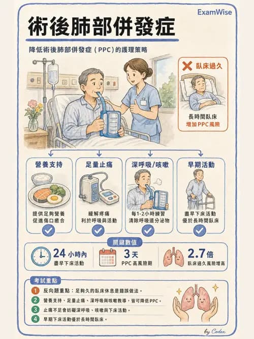 呼吸治療師 - 術後與其他呼吸重症 - AI 圖文解析預覽