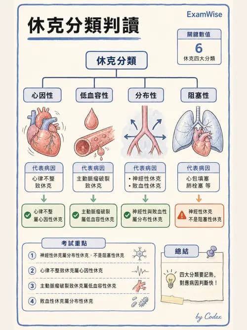 呼吸治療師 - 休克、敗血症與多器官衰竭 - AI 圖文解析預覽