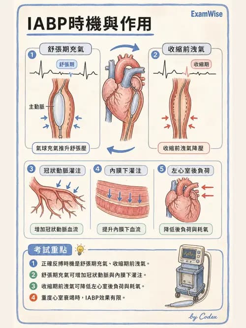 呼吸治療師 - 心臟疾病與COPD重症 - AI 圖文解析預覽