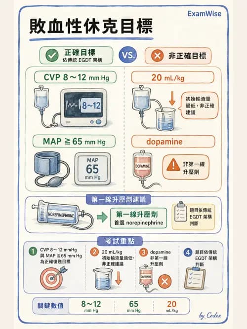呼吸治療師 - 休克、敗血症與多器官衰竭 - AI 圖文解析預覽