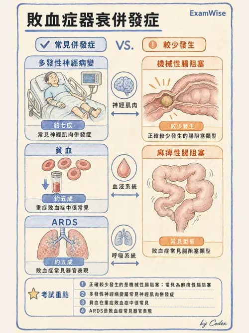 呼吸治療師 - 休克、敗血症與多器官衰竭 - AI 圖文解析預覽