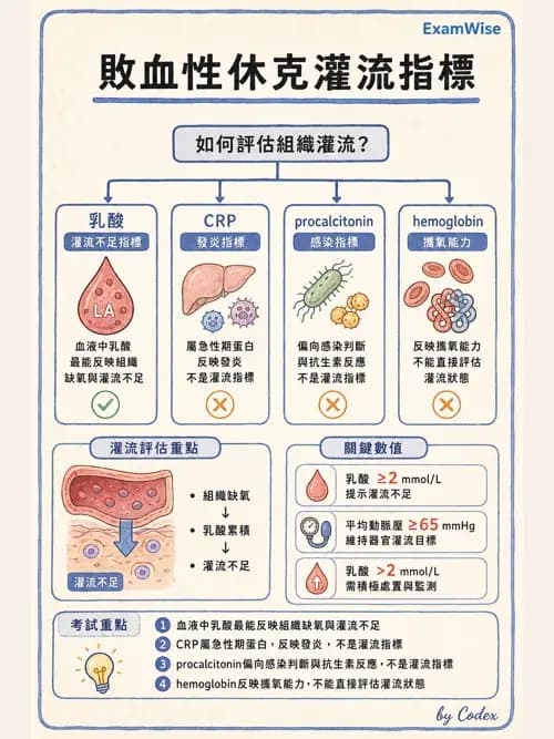 呼吸治療師 - 休克、敗血症與多器官衰竭 - AI 圖文解析預覽