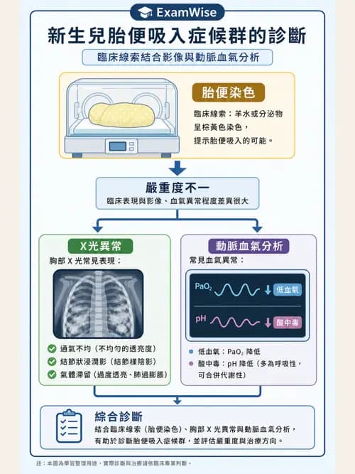 呼吸治療師 - 小兒相關重症 - AI 圖文解析預覽