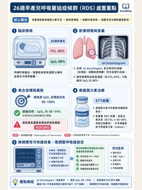 呼吸治療師 - 小兒相關重症 - AI 圖文解析預覽