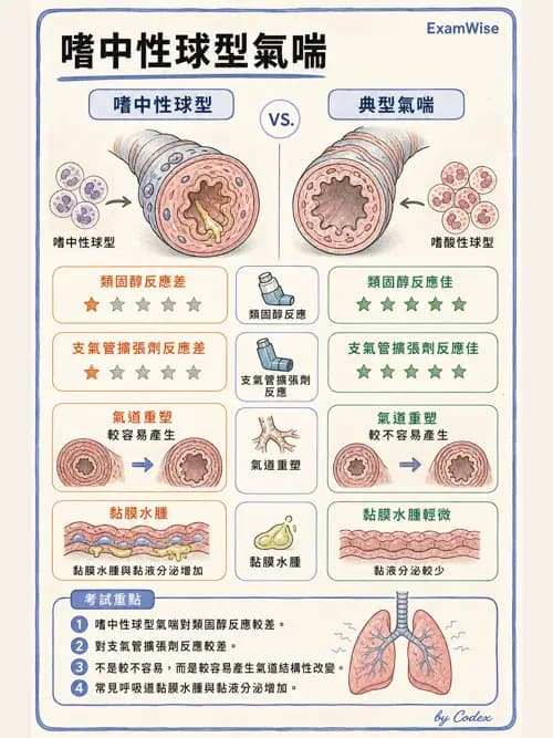 呼吸治療師 - 小兒相關重症 - AI 圖文解析預覽