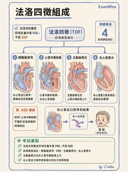 呼吸治療師 - 小兒相關重症 - AI 圖文解析預覽