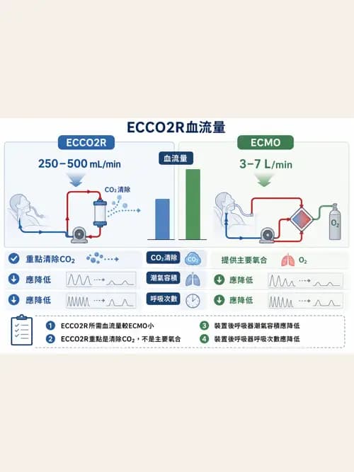 呼吸治療師 - 重症特殊處置 - AI 圖文解析預覽