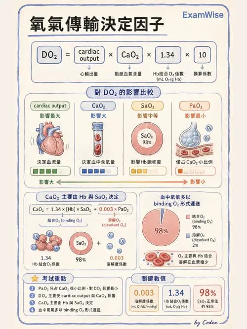呼吸治療師 - 重症監測與判讀 - AI 圖文解析預覽