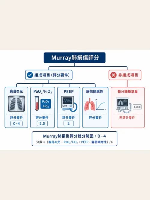 呼吸治療師 - 重症監測與判讀 - AI 圖文解析預覽