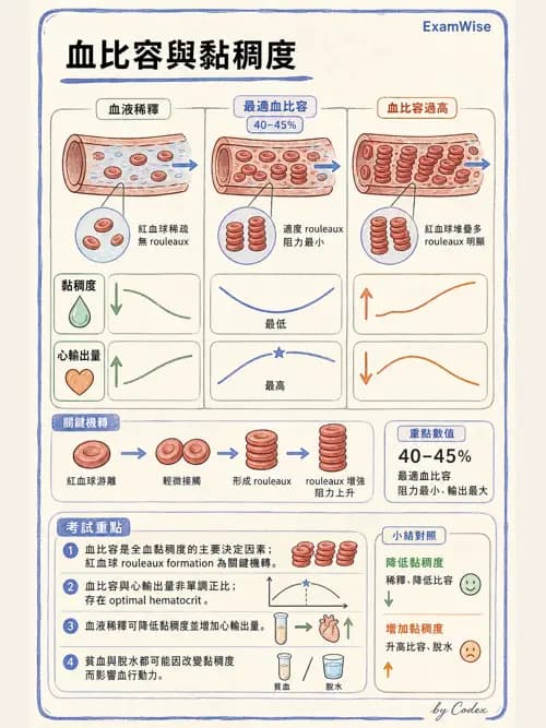 呼吸治療師 - 重症監測與判讀 - AI 圖文解析預覽