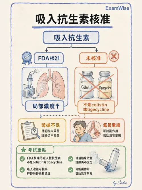 呼吸治療師 - 呼吸器併發症與感染 - AI 圖文解析預覽