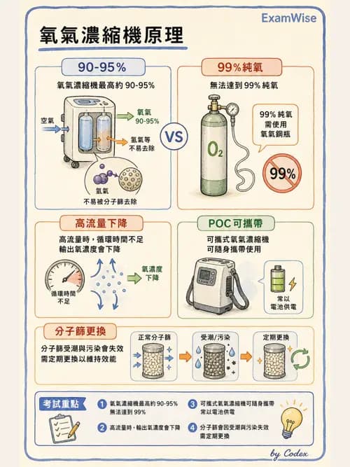 呼吸治療師 - 病人評估與衛教 - AI 圖文解析預覽