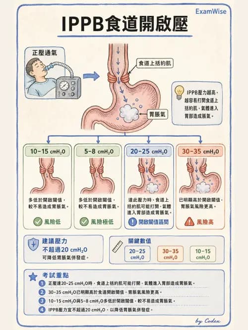 呼吸治療師 - 病人評估與衛教 - AI 圖文解析預覽