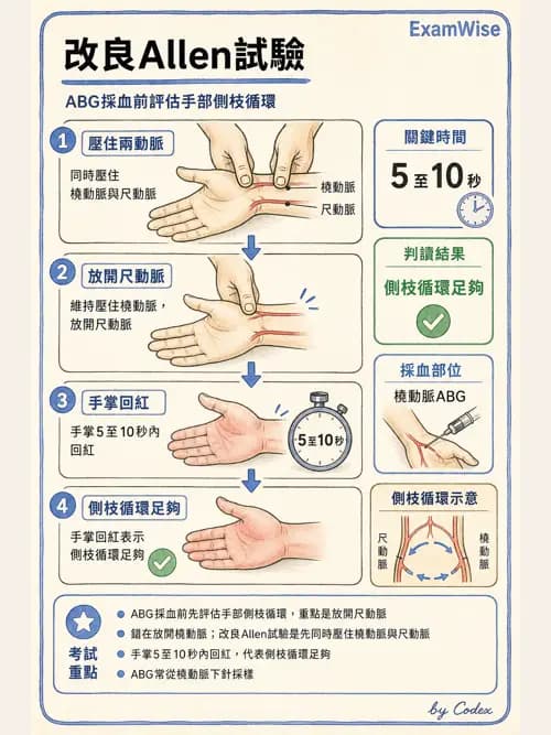 呼吸治療師 - 病人評估與衛教 - AI 圖文解析預覽