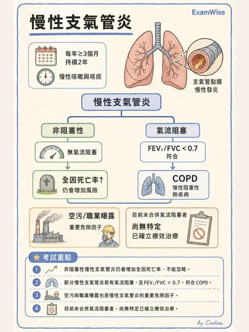 呼吸治療師 - 慢性氣道疾病 - AI 圖文解析預覽