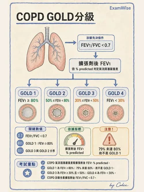 呼吸治療師 - 慢性氣道疾病 - AI 圖文解析預覽