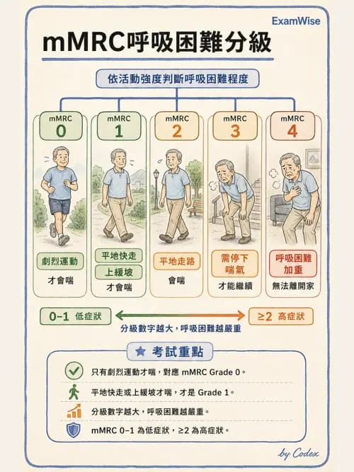 呼吸治療師 - 慢性氣道疾病 - AI 圖文解析預覽