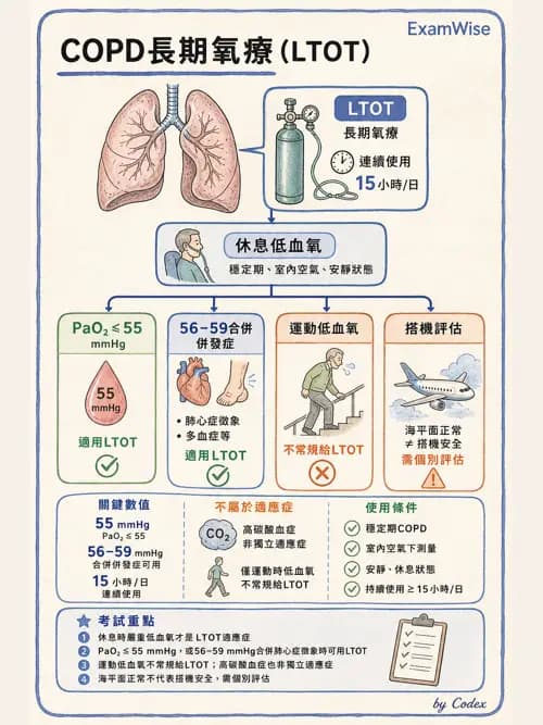 呼吸治療師 - 慢性氣道疾病 - AI 圖文解析預覽