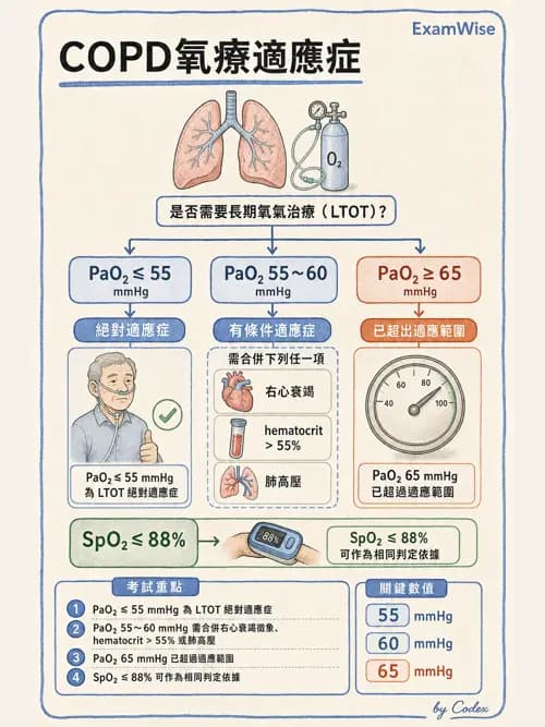呼吸治療師 - 慢性氣道疾病 - AI 圖文解析預覽