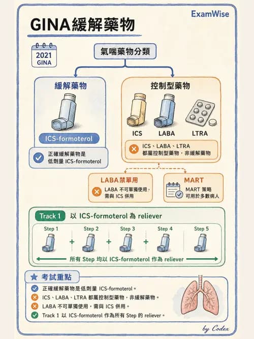 呼吸治療師 - 慢性氣道疾病 - AI 圖文解析預覽
