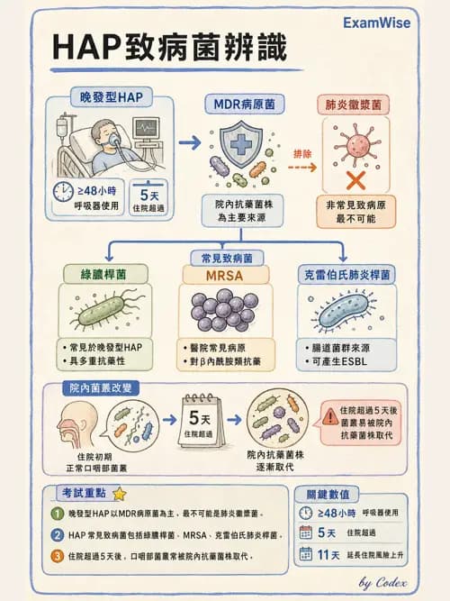 呼吸治療師 - 感染性肺疾 - AI 圖文解析預覽