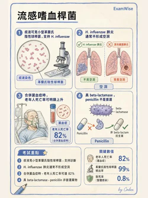 呼吸治療師 - 感染性肺疾 - AI 圖文解析預覽