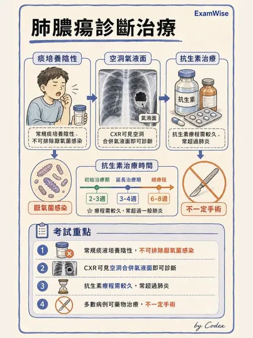 呼吸治療師 - 感染性肺疾 - AI 圖文解析預覽