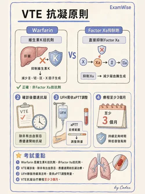 呼吸治療師 - 肺間質病變 - AI 圖文解析預覽
