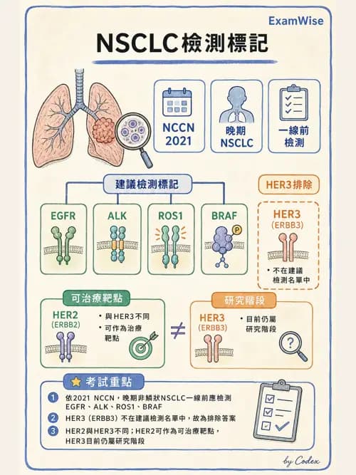 呼吸治療師 - 神經肌肉病變與腫瘤 - AI 圖文解析預覽