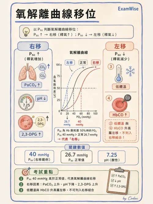 呼吸治療師 - 氣體擴散、交換與肺部代謝 - AI 圖文解析預覽