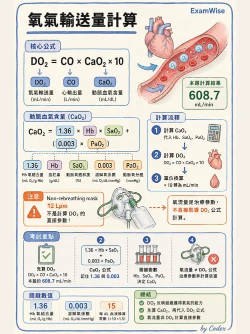 呼吸治療師 - 氣體擴散、交換與肺部代謝 - AI 圖文解析預覽