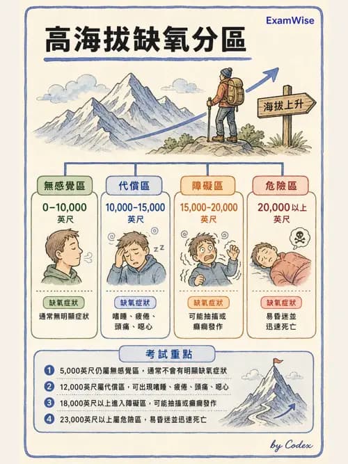 呼吸治療師 - 運動與環境生理 - AI 圖文解析預覽