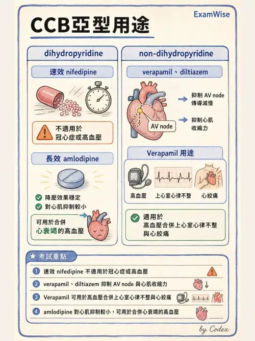 呼吸治療師 - 心臟血管藥物 - AI 圖文解析預覽