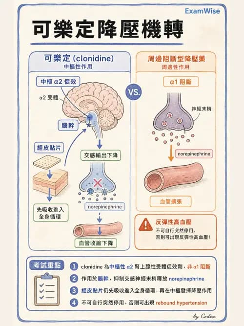 呼吸治療師 - 心臟血管藥物 - AI 圖文解析預覽