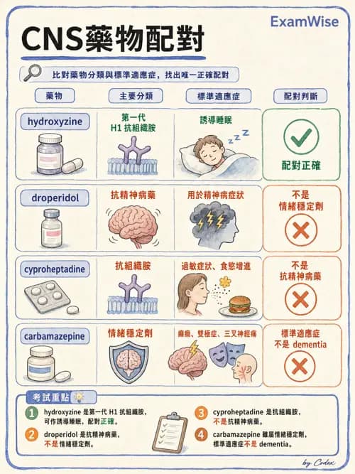 呼吸治療師 - 神經系統藥物 - AI 圖文解析預覽