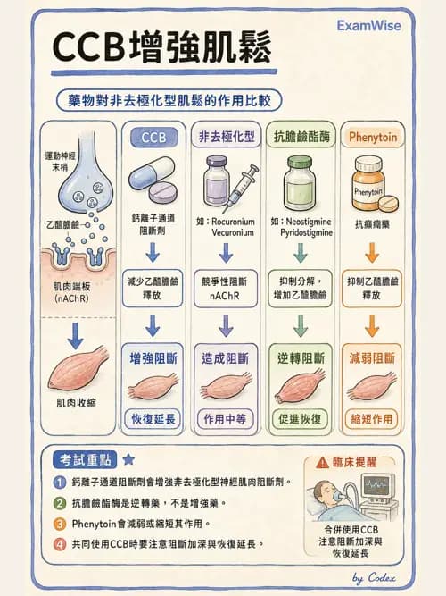 呼吸治療師 - 神經系統藥物 - AI 圖文解析預覽