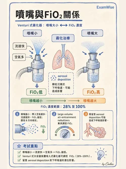 呼吸治療師 - 氣體輸送系統與氧氣治療 - AI 圖文解析預覽